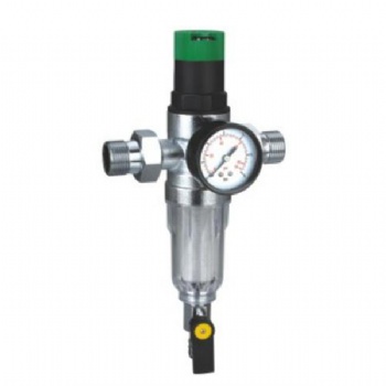 Water filter with pressure gauge