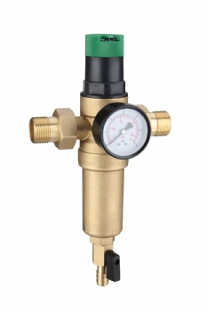Water filter with pressure gauge