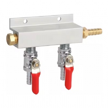 2 outlets Co2 manifold